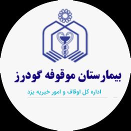 لوگوی سیستم